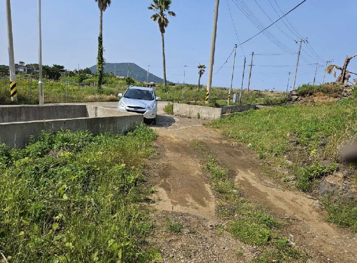 제주특별자치도 서귀포시 성산읍 시흥리 1251-1 외 4필지 유지 경매 사진 8