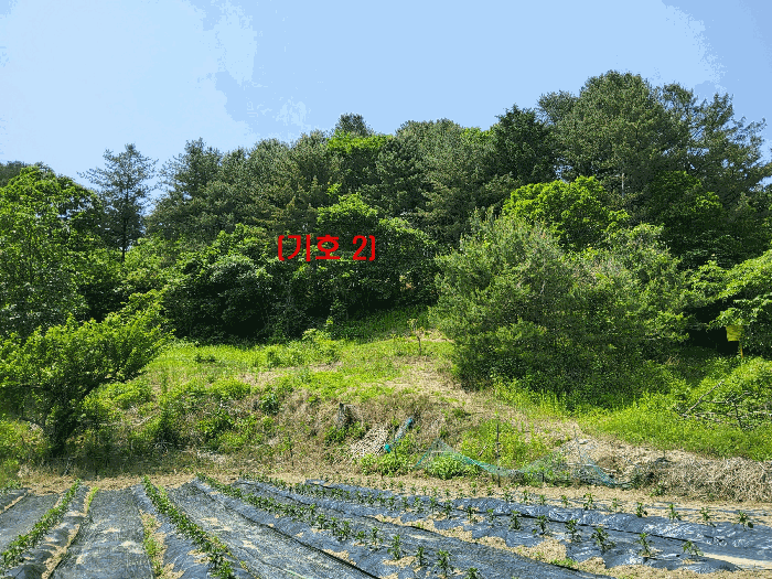 경기도 가평군 가평읍 산유리 산113-1 외 3필지 임야 경매 사진 15