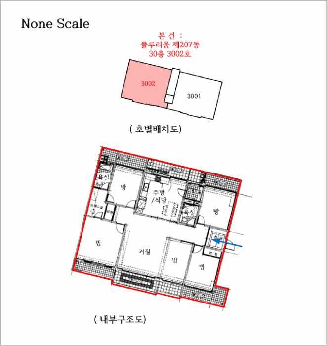 경기도 남양주시 다산동 4002-1 플루리움 207동 30층3002호 외 1필지 아파트 경매 사진 10