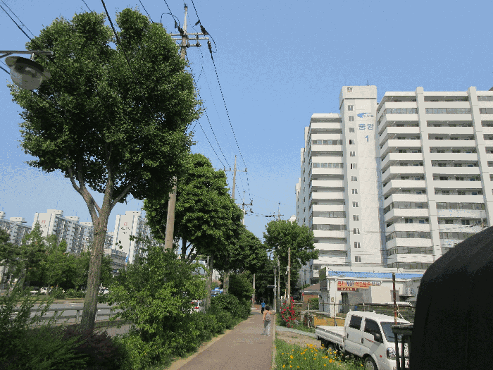 인천광역시 계양구 작전동 99-5 중앙하이츠아파트 1동 5층506호 외 2필지 아파트 경매 사진 5