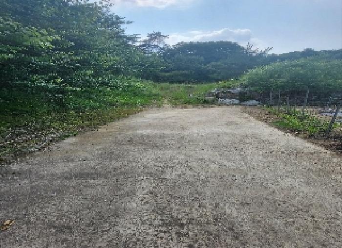 충청북도 영동군 심천면 고당리 380-4 외 2필지 전 경매 사진 2