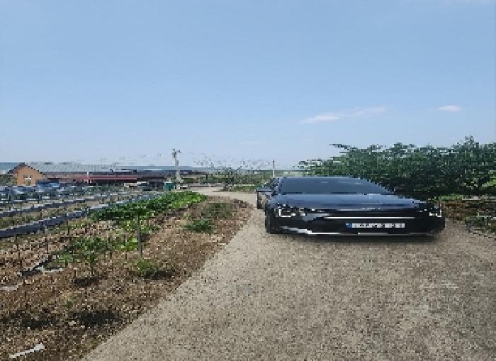 충청북도 영동군 심천면 고당리 380-4 외 2필지 전 경매 사진 3