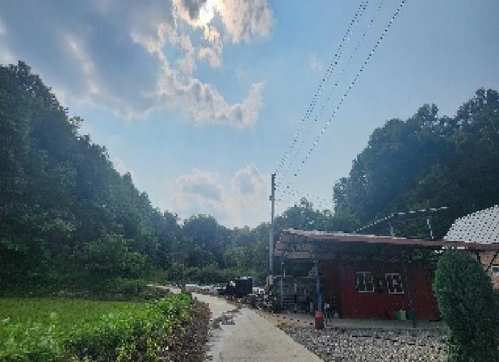 충청북도 영동군 심천면 고당리 380-4 외 2필지 전 경매 사진 4
