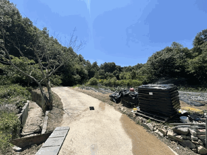 충청북도 영동군 심천면 고당리 380-4 외 2필지 전 경매 사진 9