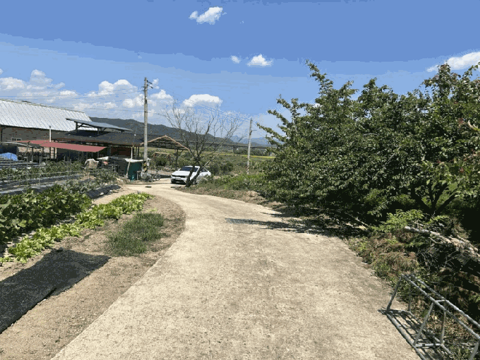 충청북도 영동군 심천면 고당리 380-4 외 2필지 전 경매 사진 10