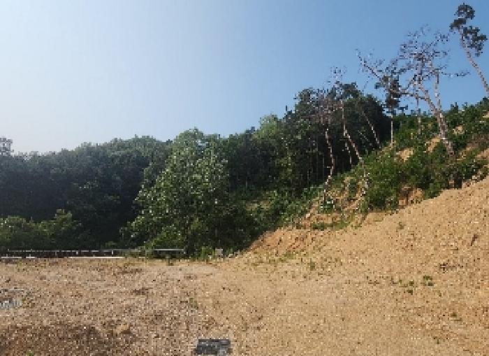 충청북도 옥천군 청산면 교평리 185-1 외 4필지 전 경매 사진 2
