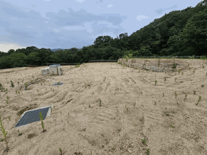 충청북도 옥천군 청산면 교평리 185-1 외 4필지 전 경매 사진 11