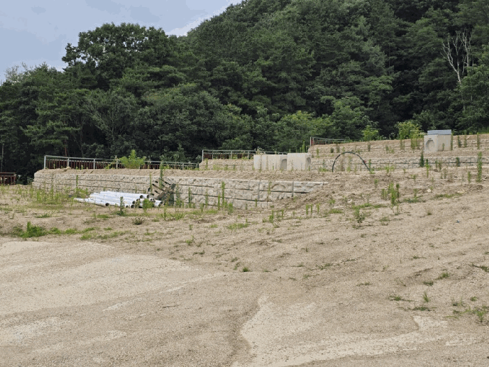 충청북도 옥천군 청산면 교평리 185-1 외 4필지 전 경매 사진 12