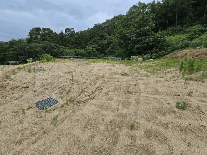 충청북도 옥천군 청산면 교평리 185-1 외 4필지 전 경매 사진 13