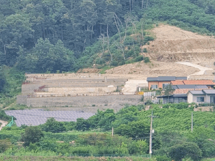 충청북도 옥천군 청산면 교평리 185-1 외 4필지 전 경매 사진 7