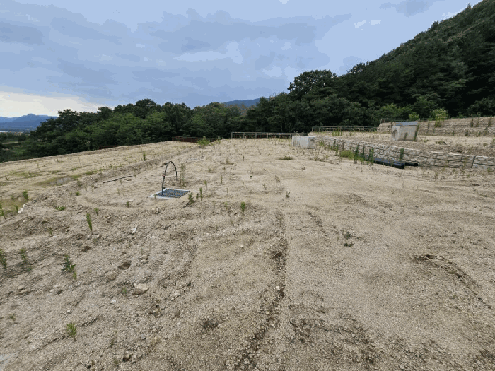 충청북도 옥천군 청산면 교평리 185-1 외 4필지 전 경매 사진 8