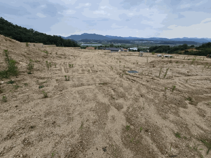 충청북도 옥천군 청산면 교평리 185-1 외 4필지 전 경매 사진 10