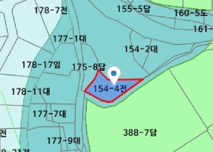 세종특별자치시 전동면 보덕리 154-4 외 1필지 전 경매 사진 9
