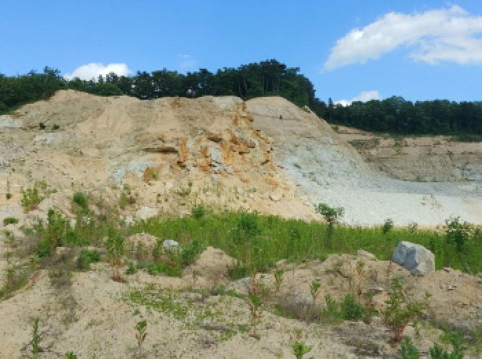 충청남도 금산군 군북면 보광리 556-3 외 7필지 도로 경매 사진 32