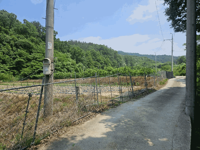 경상북도 김천시 감천면 무안리 538 답 경매 사진 4