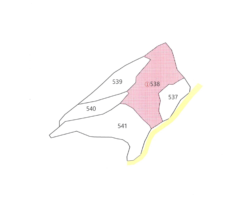 경상북도 김천시 감천면 무안리 538 답 경매 사진 9