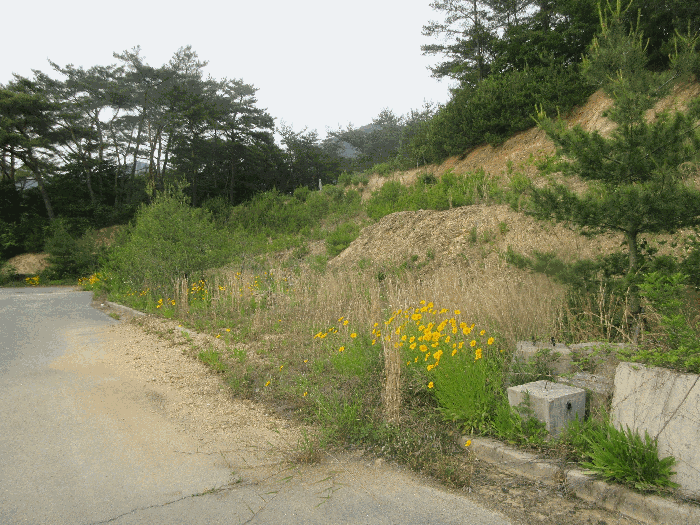 전라남도 화순군 도곡면 원화리 188-1 외 3필지 전 경매 사진 8