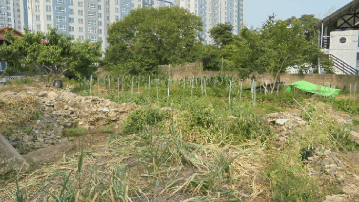 전북특별자치도 전주시 덕진구 여의동2가 658-125 대지 경매 사진 33