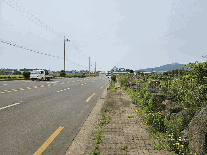 제주특별자치도 서귀포시 대정읍 상모리 2822 외 1필지 전 경매 사진 9