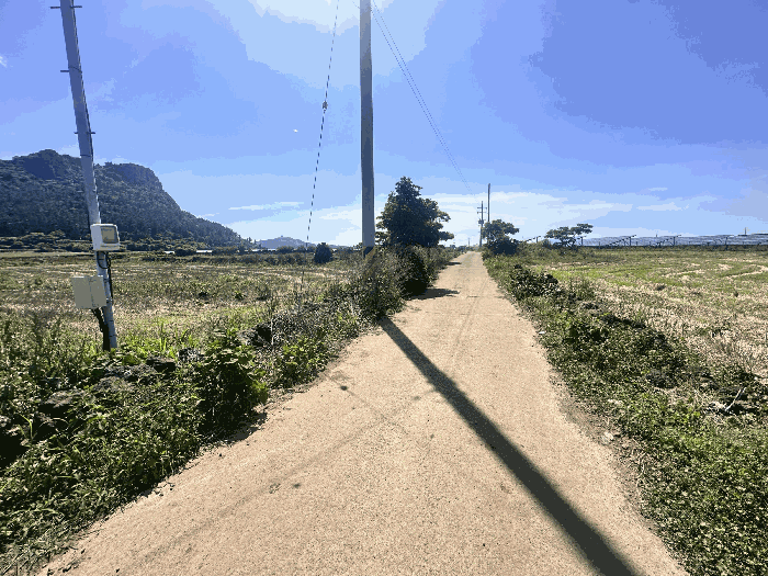 제주특별자치도 서귀포시 안덕면 사계리 1211-7 외 1필지 전 경매 사진 6
