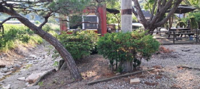 경기도 파주시 적성면 장현리 174-1 외 6필지 다가구주택 경매 사진 2