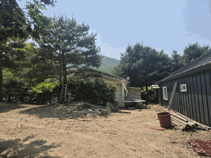 경기도 파주시 적성면 장현리 174-1 외 6필지 다가구주택 경매 사진 32