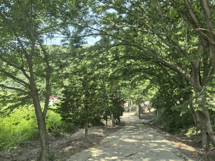 경기도 파주시 적성면 장현리 174-1 외 6필지 다가구주택 경매 사진 33
