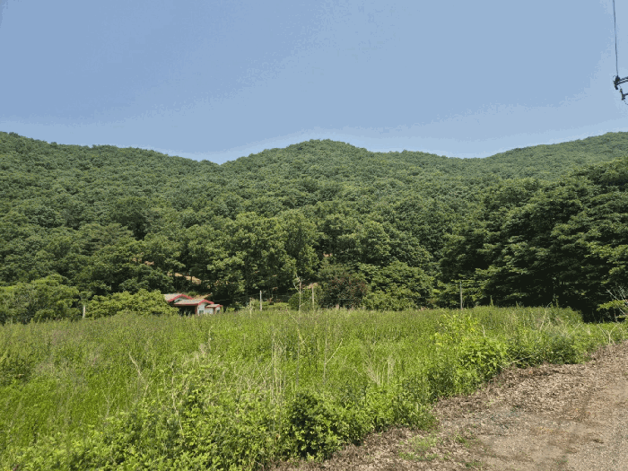 경기도 파주시 적성면 장현리 174-1 외 6필지 다가구주택 경매 사진 40