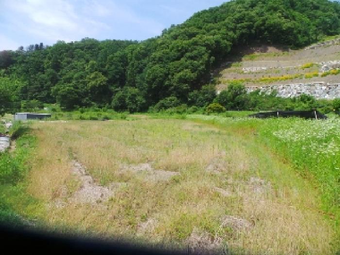 강원특별자치도 춘천시 서면 안보리 242-1 외 1필지 전 경매 사진 1
