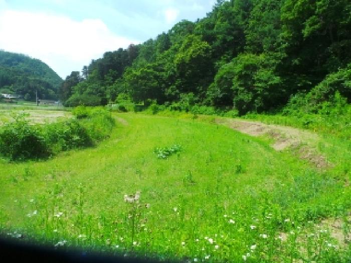 강원특별자치도 춘천시 서면 안보리 242-1 외 1필지 전 경매 사진 8