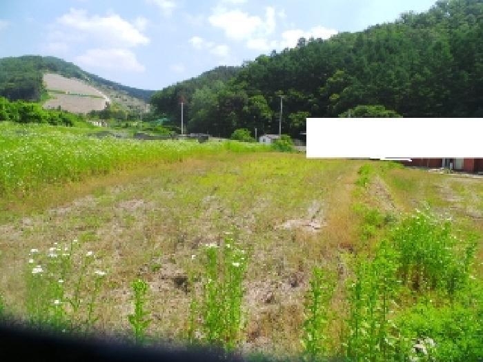 강원특별자치도 춘천시 서면 안보리 242-1 외 1필지 전 경매 사진 9