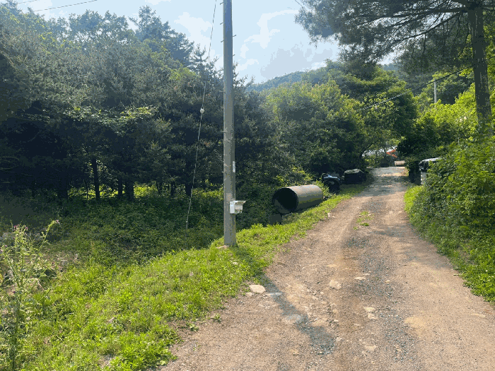 강원특별자치도 원주시 소초면 학곡리 164 외 5필지 전 경매 사진 9