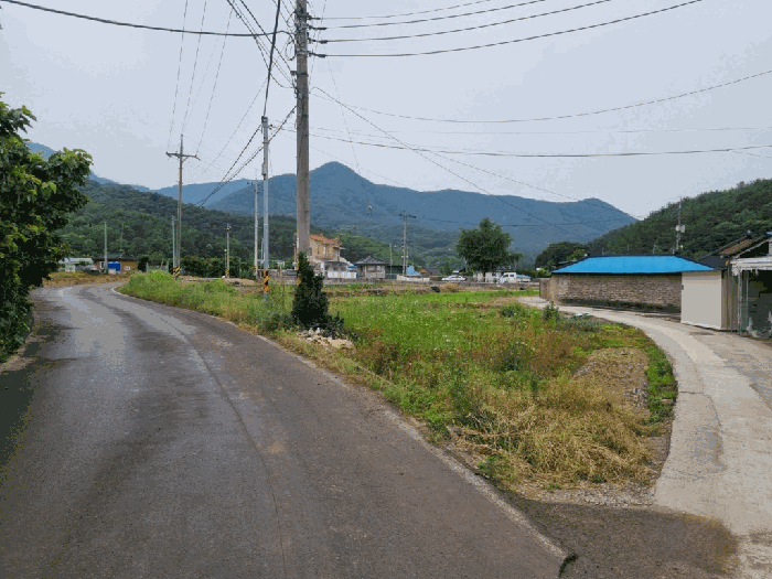 경상남도 함안군 함안면 파수리 488-17 외 1필지 답 경매 사진 3