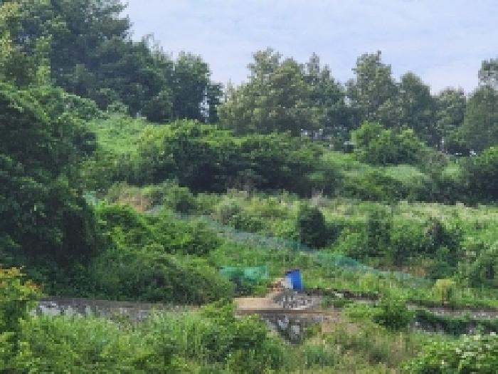 전라남도 여수시 화양면 서촌리 산228 임야 경매 사진 14