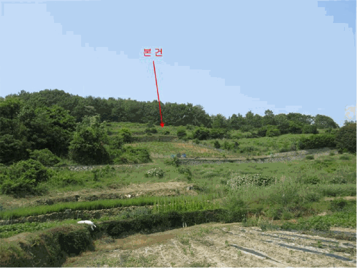 전라남도 여수시 화양면 서촌리 산228 임야 경매 사진 20