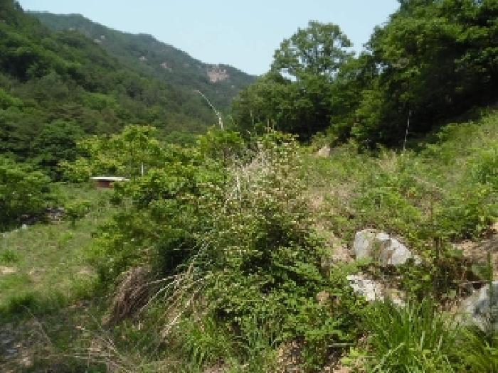 전북특별자치도 완주군 동상면 신월리 850 전 경매 사진 41
