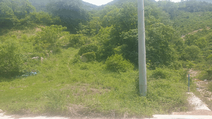 전북특별자치도 완주군 동상면 신월리 850 전 경매 사진 45