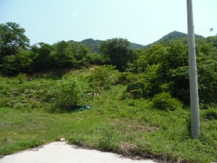 전북특별자치도 완주군 동상면 신월리 850 전 경매 사진 33