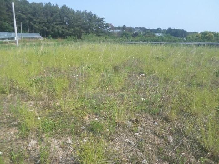 전북특별자치도 완주군 봉동읍 은하리 1008-2 답 경매 사진 15