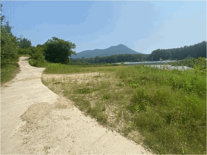 전북특별자치도 완주군 봉동읍 은하리 1008-2 답 경매 사진 18