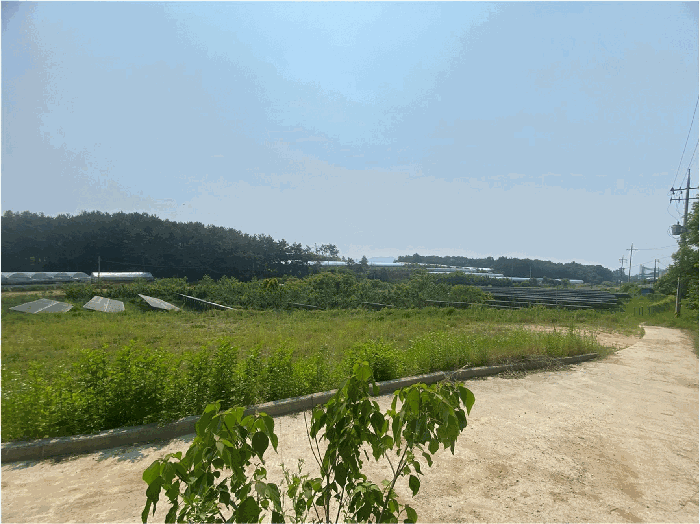 전북특별자치도 완주군 봉동읍 은하리 1008-2 답 경매 사진 19