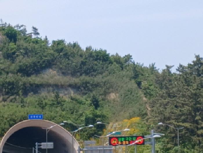 전북특별자치도 군산시 옥도면 선유도리 178-2 임야 경매 사진 5