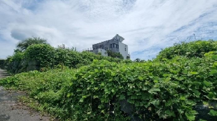 제주특별자치도 제주시 조천읍 대흘리 1709-2 대지 경매 사진 4