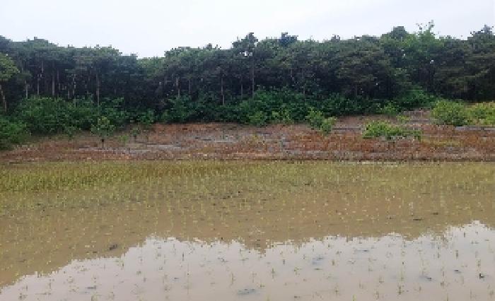 충청남도 아산시 인주면 밀두리 244-30 전 경매 사진 4