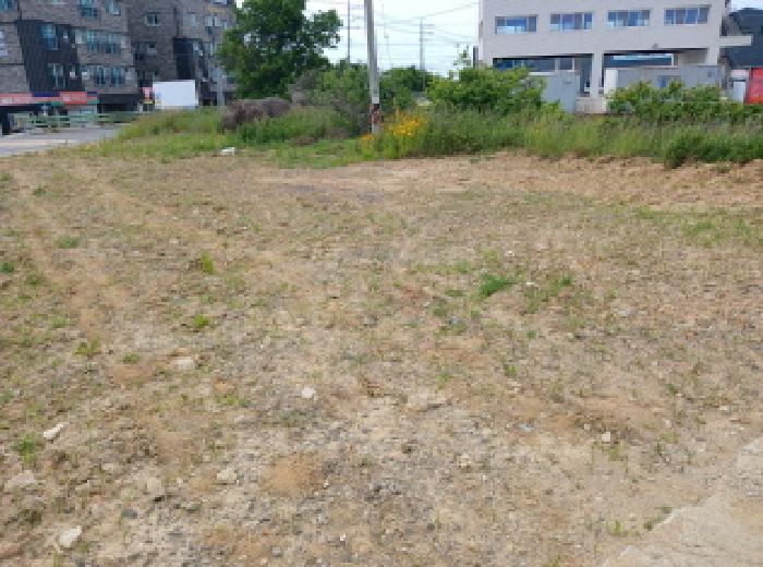 충청남도 당진시 석문면 교로리 434-1 외 3필지 대지 경매 사진 1