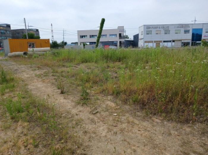 충청남도 당진시 석문면 교로리 434-1 외 3필지 대지 경매 사진 3