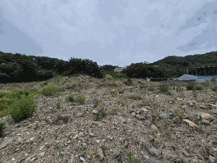 경상북도 칠곡군 기산면 영리 803-1 외 6필지 임야 경매 사진 11