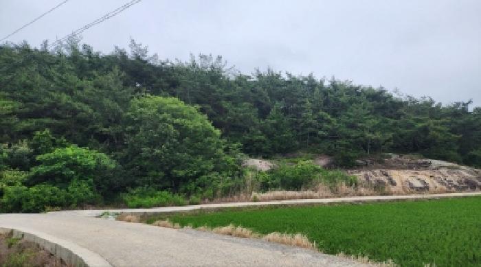 전라남도 고흥군 대서면 송강리 산34 임야 경매 사진 9