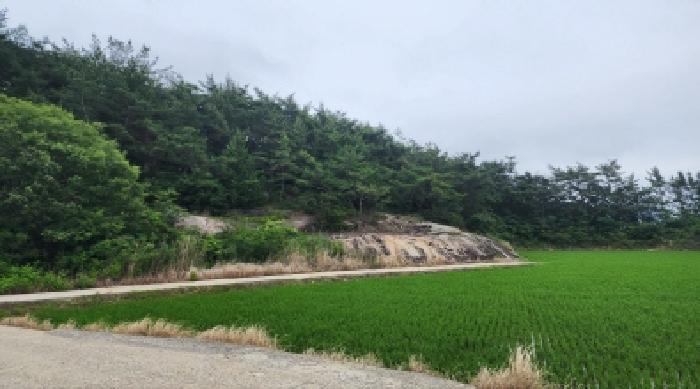 전라남도 고흥군 대서면 송강리 산34 임야 경매 사진 10