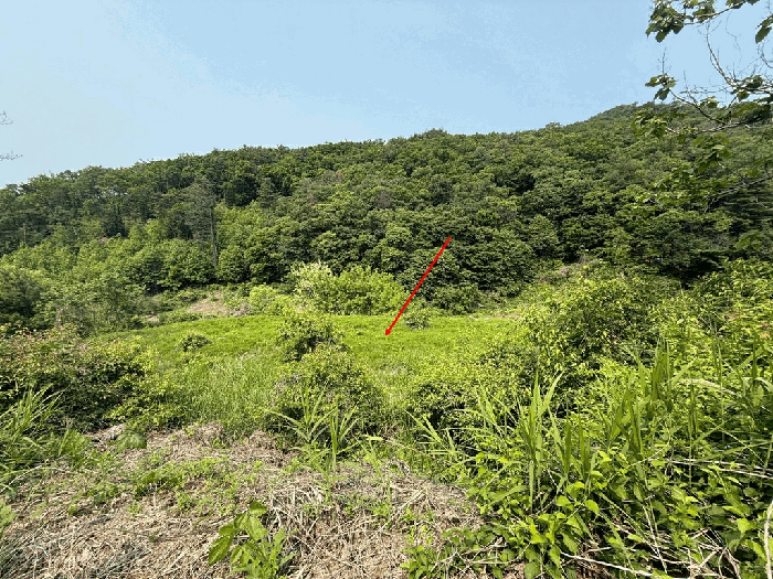 경기도 남양주시 오남읍 팔현리 89-1 외 6필지 공장 경매 사진 49